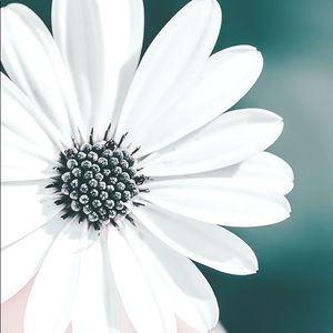 Meet your Posher, Liz